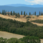 Toskana Landschaft